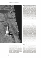  Strona 31